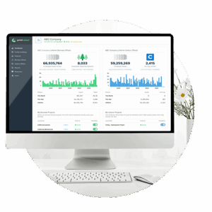 Computer monitor representing the analysis of forest impact and carbon footprint.