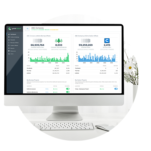 Computer monitor representing the analysis of forest impact and carbon footprint.